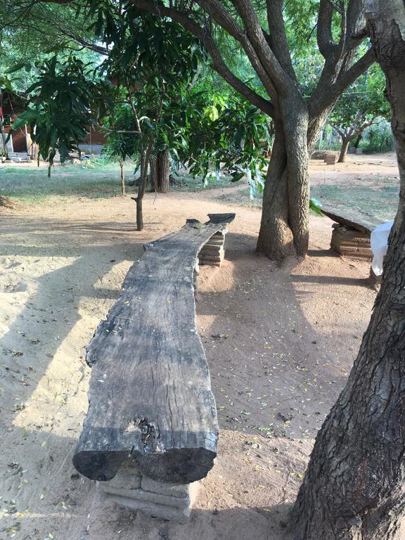 The Summer Corridor - Kataragama Esterno foto